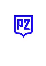 PZPI LLC