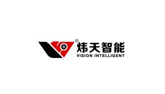 Vision